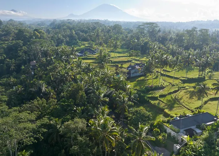 リゾート Arvanya Ubud テガララン